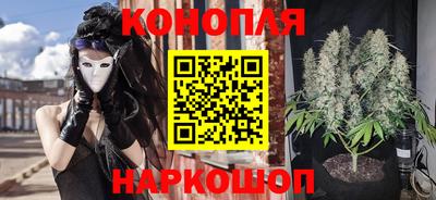 дживик Кунгур