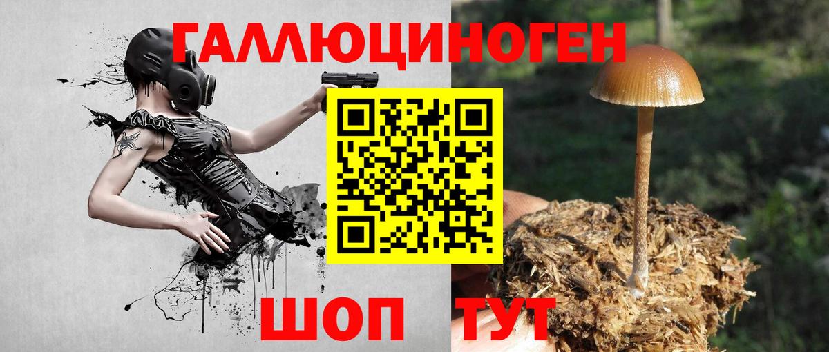 Галлюциногенные грибы MAGIC MUSHROOMS Киров