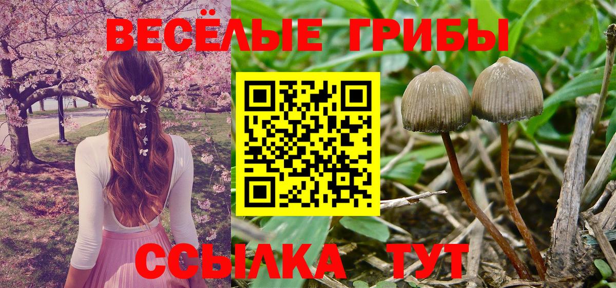 Псилоцибиновые грибы прущие грибы  Вход с VPN  Киров 